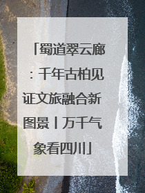 蜀道翠云廊：千年古柏见证文旅融合新图景丨万千气象看四川