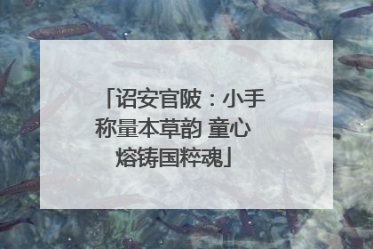 诏安官陂：小手称量本草韵 童心熔铸国粹魂
