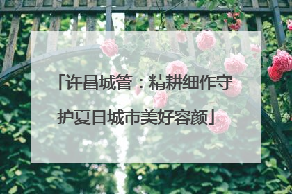 许昌城管：精耕细作守护夏日城市美好容颜