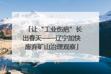 让“工业伤疤”长出春天——辽宁加快废弃矿山治理观察