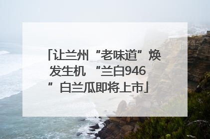 让兰州“老味道”焕发生机 “兰白946”白兰瓜即将上市