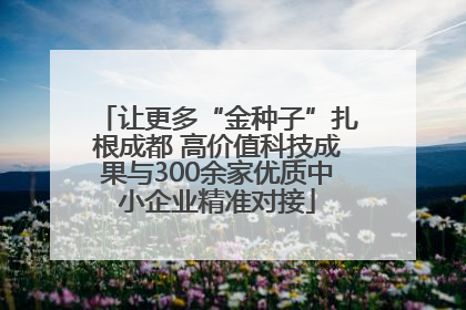 让更多“金种子”扎根成都 高价值科技成果与300余家优质中小企业精准对接