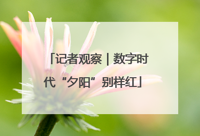 记者观察｜数字时代“夕阳”别样红