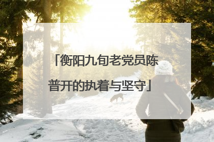 衡阳九旬老党员陈普开的执着与坚守