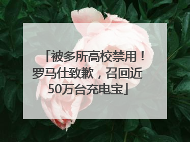 被多所高校禁用！罗马仕致歉，召回近50万台充电宝