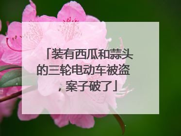 装有西瓜和蒜头的三轮电动车被盗，案子破了