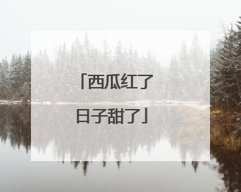 西瓜红了 日子甜了