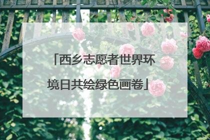 西乡志愿者世界环境日共绘绿色画卷