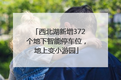 西北湖新增372个地下智能停车位，地上变小游园