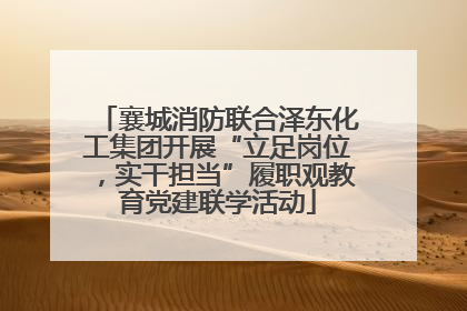 襄城消防联合泽东化工集团开展“立足岗位，实干担当”履职观教育党建联学活动
