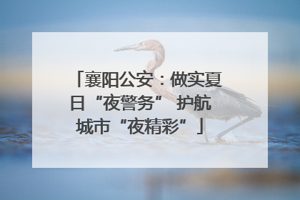 襄阳公安：做实夏日“夜警务” 护航城市“夜精彩”