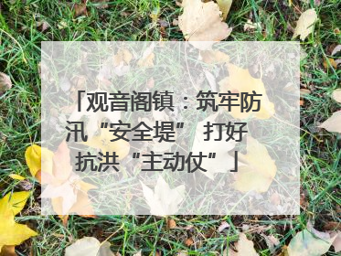 观音阁镇：筑牢防汛“安全堤” 打好抗洪“主动仗”