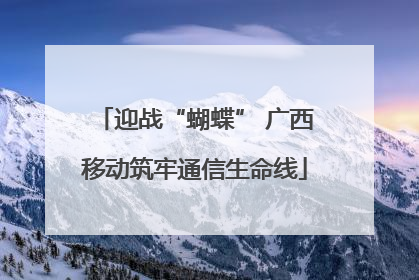 迎战“蝴蝶” 广西移动筑牢通信生命线