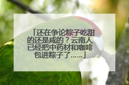 还在争论粽子吃甜的还是咸的？云南人已经把中药材和咖啡包进粽子了……