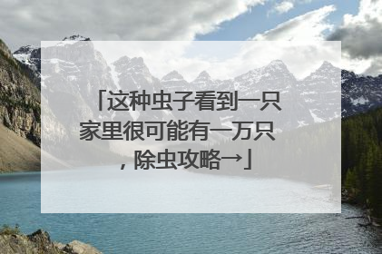 这种虫子看到一只家里很可能有一万只，除虫攻略→