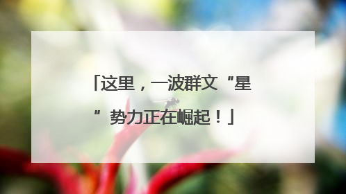 这里，一波群文“星”势力正在崛起！