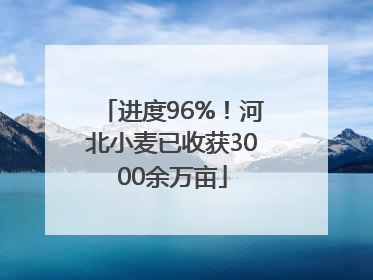 进度96%！河北小麦已收获3000余万亩