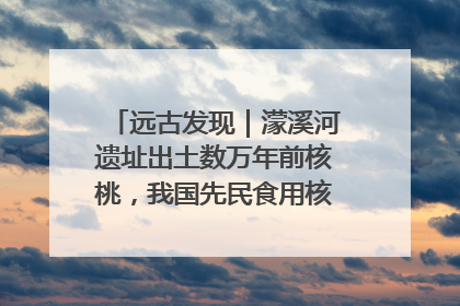 远古发现｜濛溪河遗址出土数万年前核桃，我国先民食用核桃历史大幅提前