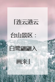 连云港云台山景区：白鹭翩翩入画来