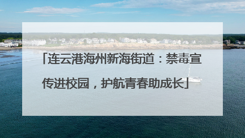 连云港海州新海街道：禁毒宣传进校园，护航青春助成长