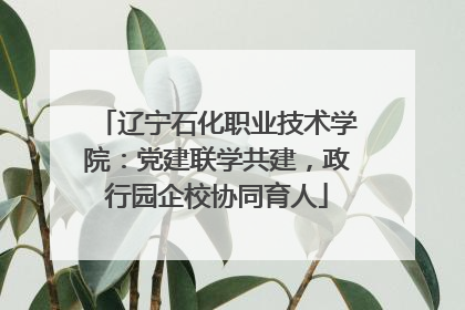 辽宁石化职业技术学院：党建联学共建，政行园企校协同育人