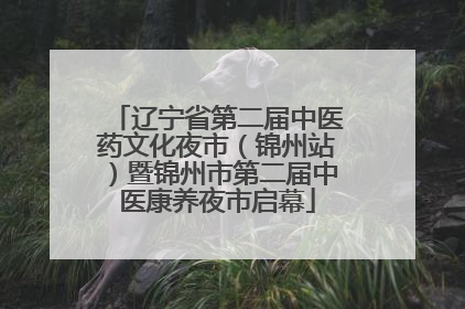 辽宁省第二届中医药文化夜市（锦州站）暨锦州市第二届中医康养夜市启幕