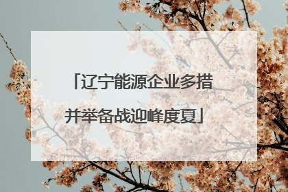 辽宁能源企业多措并举备战迎峰度夏