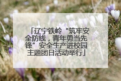辽宁铁岭“筑牢安全防线，青年勇当先锋”安全生产进校园主题团日活动举行