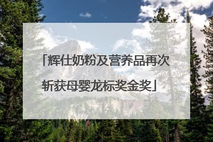 辉仕奶粉及营养品再次斩获母婴龙标奖金奖