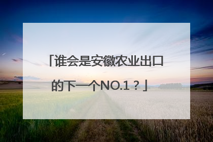 谁会是安徽农业出口的下一个NO.1？