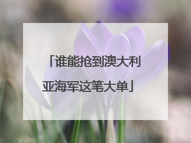 谁能抢到澳大利亚海军这笔大单
