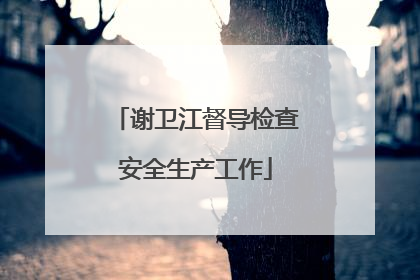 谢卫江督导检查安全生产工作