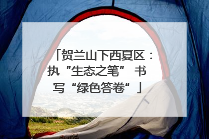 贺兰山下西夏区：执“生态之笔” 书写“绿色答卷”