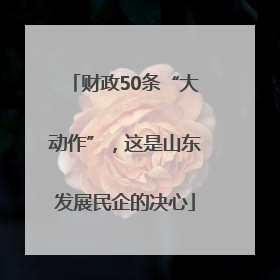 财政50条“大动作”，这是山东发展民企的决心