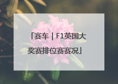 赛车｜F1英国大奖赛排位赛赛况
