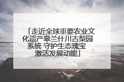 走近全球重要农业文化遗产皋兰什川古梨园系统 守护生态瑰宝 激活发展动能