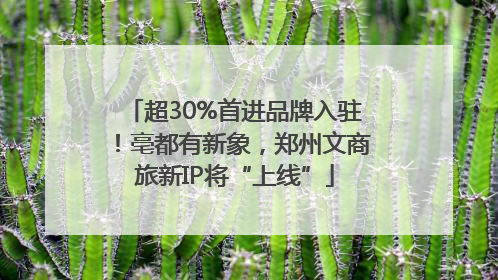超30%首进品牌入驻！亳都有新象，郑州文商旅新IP将“上线”