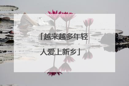 越来越多年轻人爱上新乡