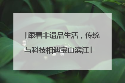 跟着非遗品生活，传统与科技相遇宝山滨江