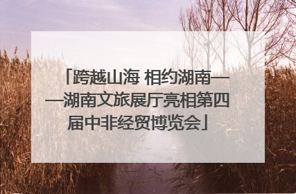 跨越山海 相约湖南——湖南文旅展厅亮相第四届中非经贸博览会
