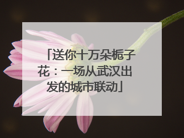 送你十万朵栀子花：一场从武汉出发的城市联动