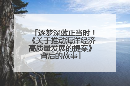逐梦深蓝正当时！《关于推动海洋经济高质量发展的提案》背后的故事