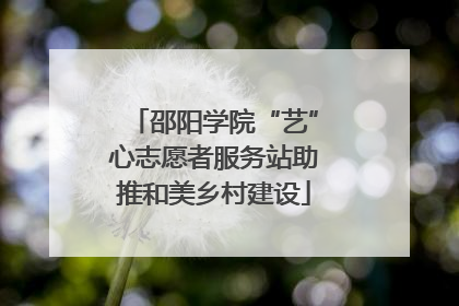 邵阳学院“艺”心志愿者服务站助推和美乡村建设