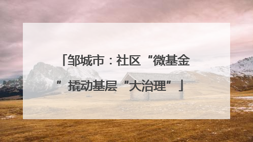 邹城市：社区“微基金”撬动基层“大治理”