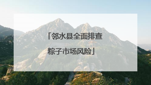 邻水县全面排查粽子市场风险