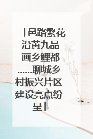 邑路繁花 沿黄九品 画乡鲤都……聊城乡村振兴片区建设亮点纷呈