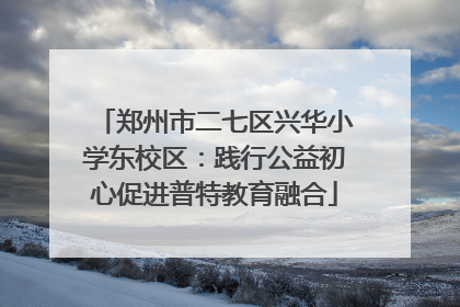 郑州市二七区兴华小学东校区：践行公益初心促进普特教育融合