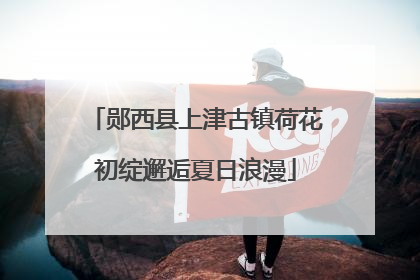 郧西县上津古镇荷花初绽邂逅夏日浪漫
