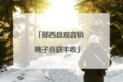 郧西县观音镇桃子喜获丰收