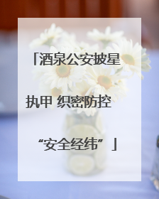 酒泉公安披星执甲 织密防控“安全经纬”